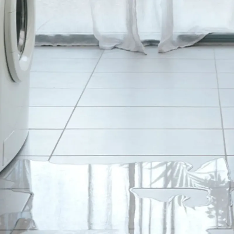 Appliance Leak Cleanup in Cranbury, NJ